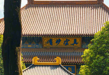 大兴善寺第 12 张图片