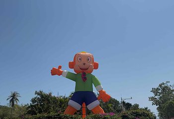 南湾猴岛生态旅游区第 113 张图片