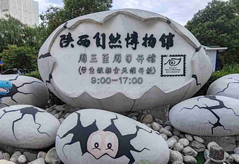 陕西自然博物馆第 32 张图片