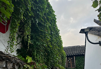 朱家角古镇景区第 186 张图片