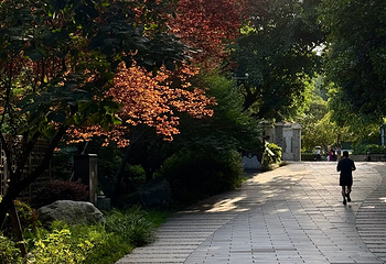 浣花溪公园第 85 张图片