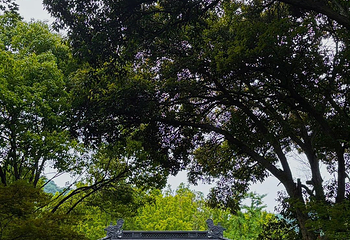 灵隐飞来峰景区第 142 张图片