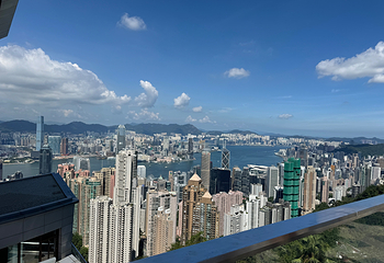 太平山顶第 111 张图片