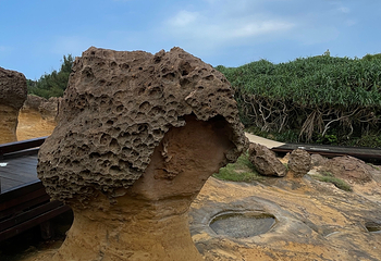 野柳地质公园第 97 张图片