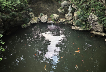 灵隐飞来峰景区第 156 张图片
