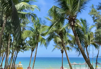 海棠湾第 118 张图片