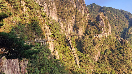 羊狮慕风景区第 61 张图片