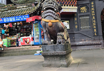 青城山第 301 张图片