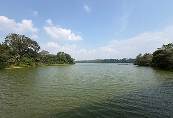 河川生态园第 61 张图片