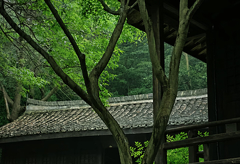 黄公望隐居地第 46 张图片
