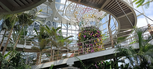 上海温室花园第 97 张图片