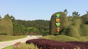 银杏湖乐园-梦幻迷宫