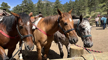 National Park Gateway Stables