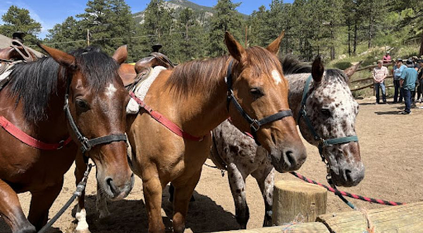 National Park Gateway Stables