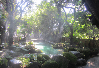 Dan Tewada Land of Angels Waterfall Park第 11 张图片