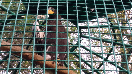 Almaty Zoo第 12 张图片