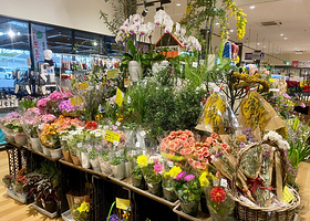 Michi-no-Eki Katsuragi