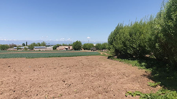 Jyldyzbek Horse Trekking