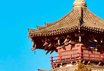 兴庆宫公园第 46 张图片