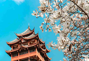 塔子山公园第 6 张图片