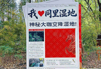 同里国家湿地公园第 45 张图片