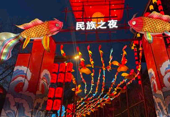 民族之夜第 21 张图片