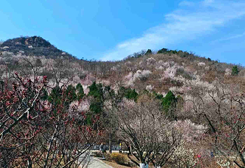 北京西山国家森林公园第 40 张图片