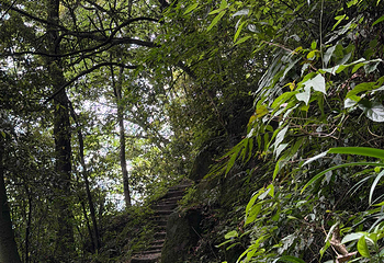 青城山第 284 张图片