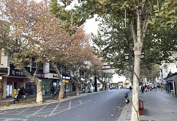 十全街第 125 张图片