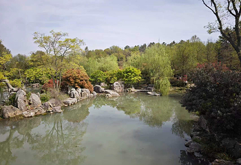 牛首山文化旅游区第 494 张图片
