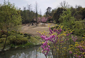 牛首山文化旅游区第 605 张图片