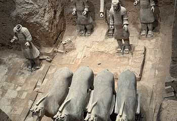 秦始皇帝陵博物院(兵马俑)第 521 张图片
