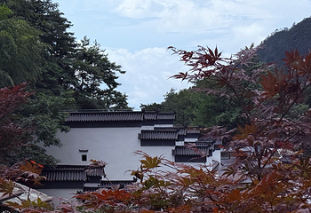 黄山风景区第 196 张图片