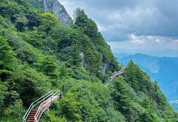 紫柏山国家森林公园第 12 张图片