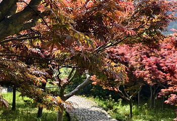 马岭古道第 35 张图片