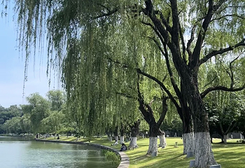 玄武湖景区第 159 张图片
