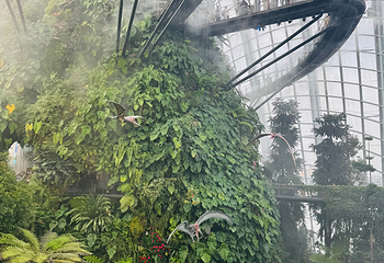 新加坡滨海湾花园第 439 张图片
