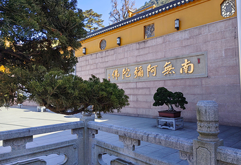 九华山风景区第 76 张图片