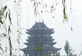阳澄湖第 127 张图片