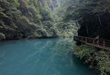 张家界大峡谷第 138 张图片