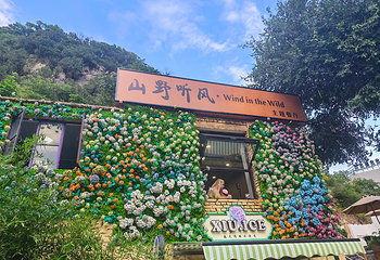 山东文旅·红叶柿岩旅游区第 36 张图片