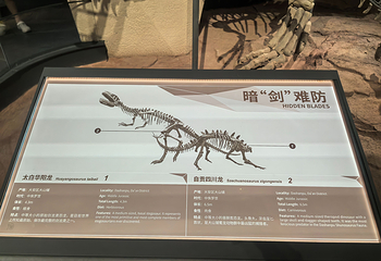 自贡恐龙博物馆第 47 张图片