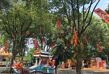 西溪国家湿地公园第 260 张图片