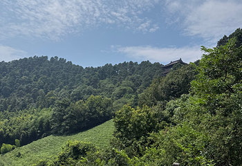 敬亭山第 70 张图片