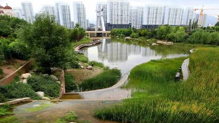 西宁湟水国家湿地公园第 1 张图片