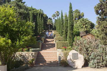 Jardin Botanico Marimurtra第 4 张图片