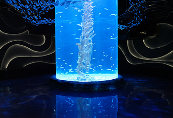 雅加达多媒体水族馆第 10 张图片