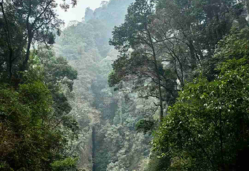 青城山第 345 张图片
