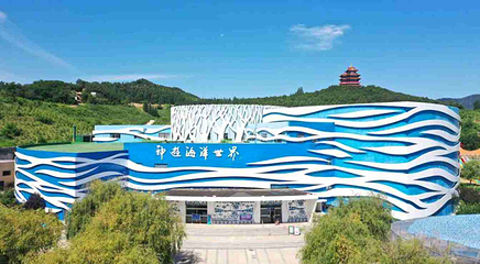 威海神游海洋世界第 26 张图片