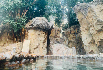 龙熙温泉水世界第 32 张图片